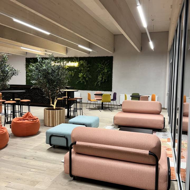 Renovation and Interior Design of a co-working space in Nyon