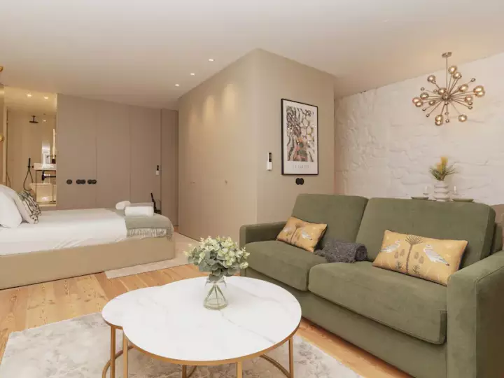 Open plan view of the In Shades of Green apartment